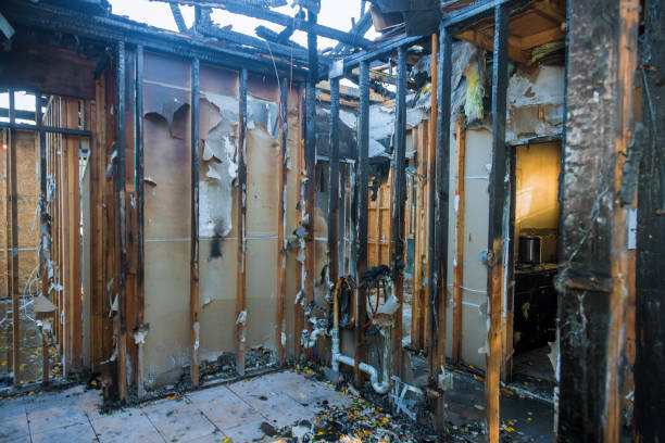 Professional Fire Damage Removal technician working in Orlando, FL