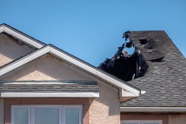Top rated local Fire Damage Removal specialists in Orlando, FL